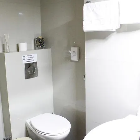 Hotel Papion Bucarest