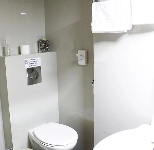 酒店 巴平酒店 布加勒斯特